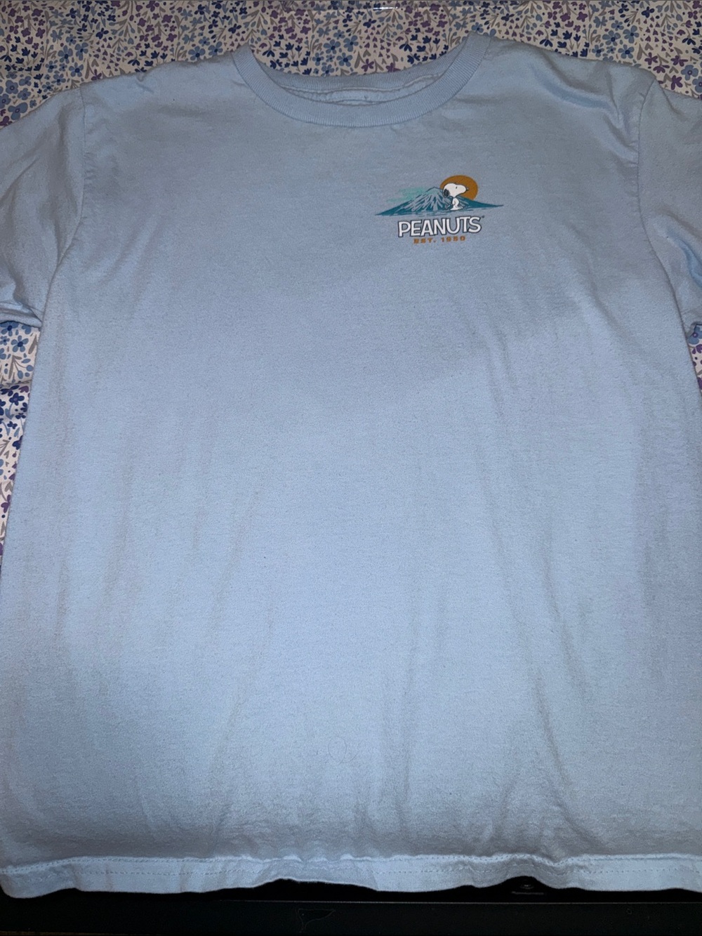 Peanuts Light Blue Graphic Tee with Small Mountain Snoopy